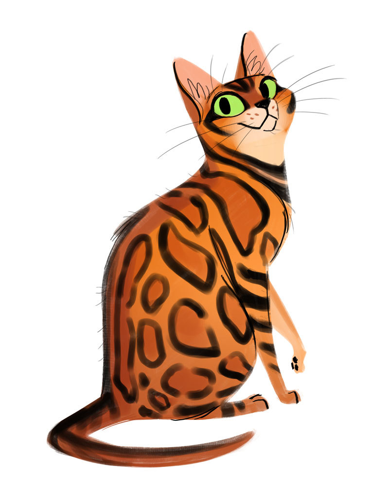 bengal cat with green eyes